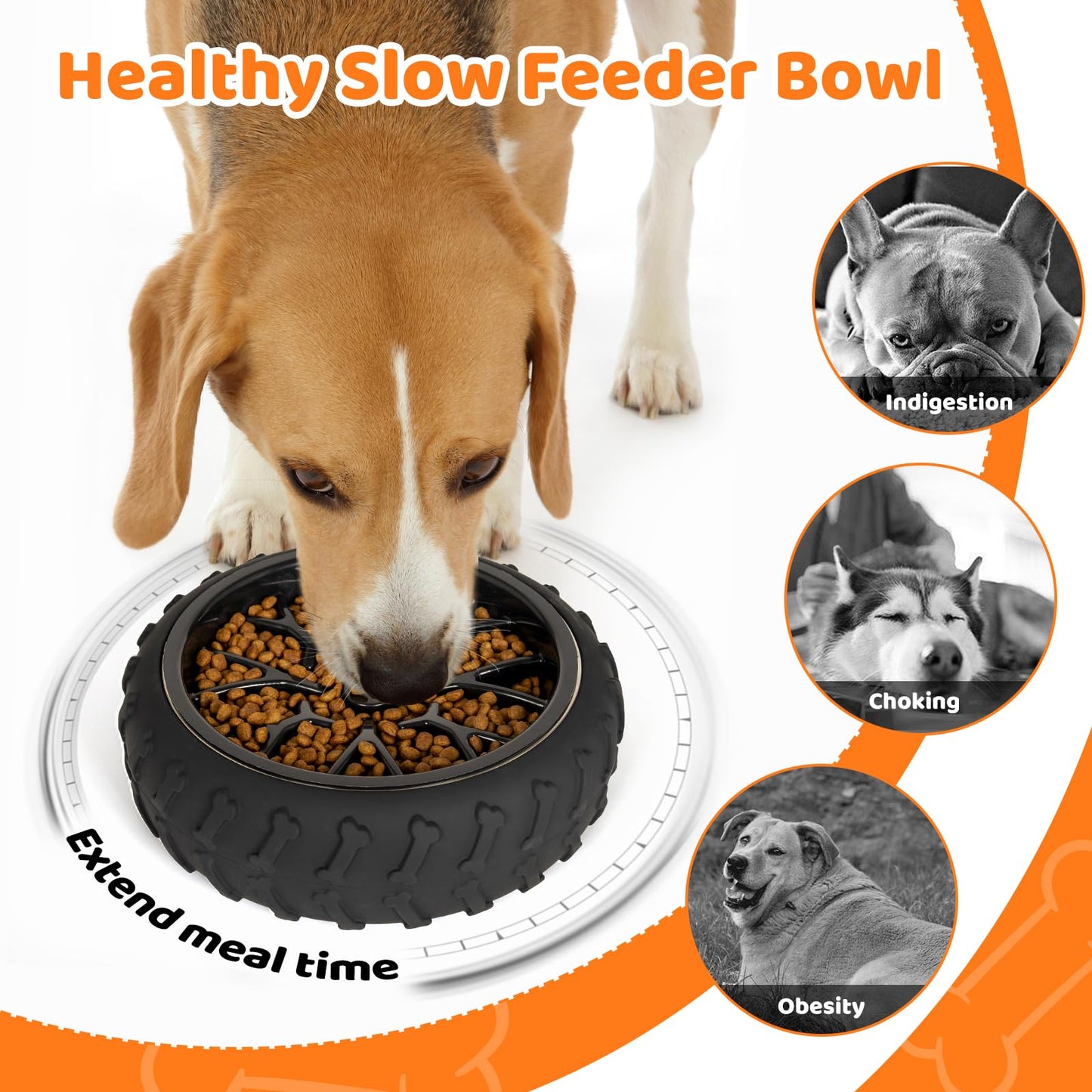 Multifunctional 3 in 1 Dog Bowl