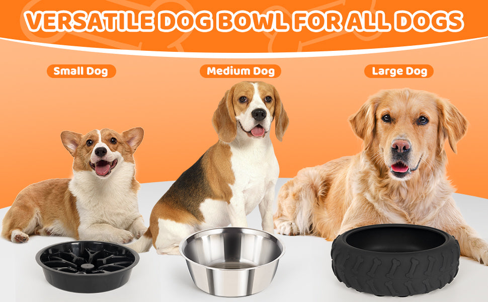 Multifunctional 3 in 1 Dog Bowl